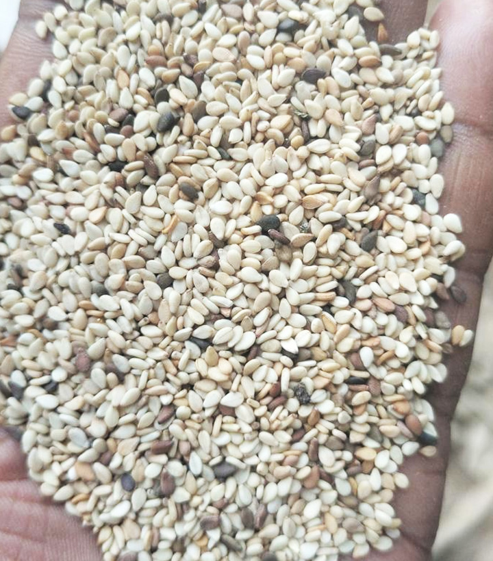 Mix Chad Sesame Seeds