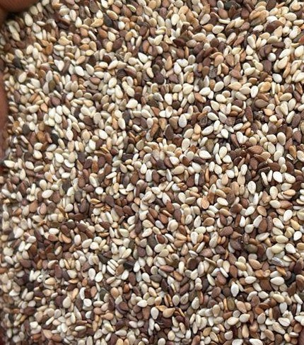 Mix Sudan Sesame Seeds